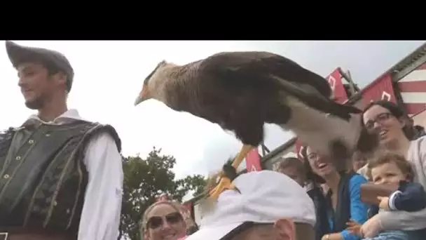 Quand la fauconnerie du Puy du Fou assombrit le ciel