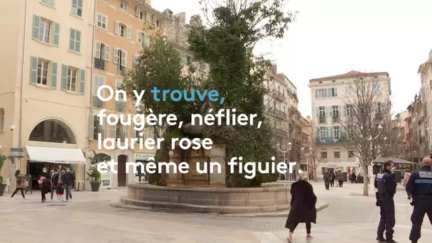 Richesses du Var :  la fontaine de la place Puget à Toulon