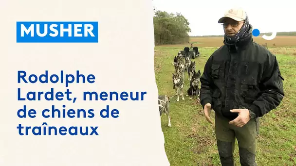 Rodolphe Lardet, meneur de chiens de traîneaux dans la Marne