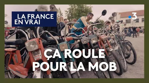 Ça roule pour la mob : entre nostalgie et amour du vintage, la mobylette revient en force