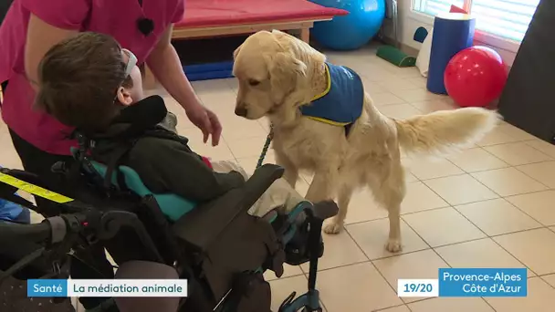Hautes-Alpes : Un chien pour accompagner les polyhandicapés à Gap