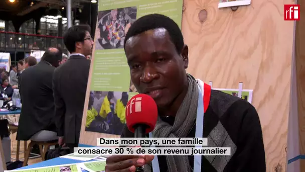 RDC: du charbon vert contre la déforestation