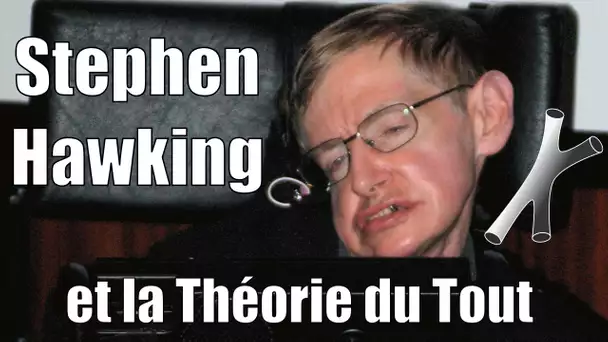 Stephen Hawking et la Théorie du Tout — Science étonnante # 2