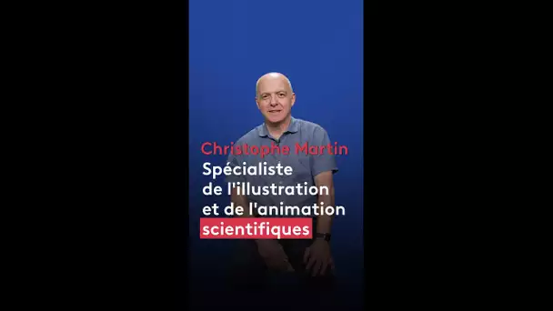 PORTRAIT. Christophe Martin, illustrateur scientifique au secours de la science