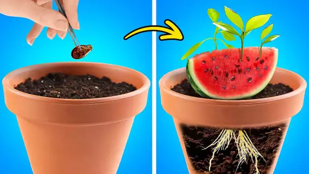 Jardinage de pastèques 🍉🍉 et astuces satisfaisantes de coupe et d'épluchage