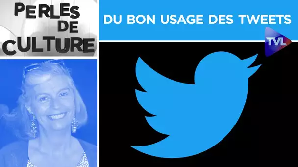 Du bon usage des tweets - Perles de Culture n°264 - TVL