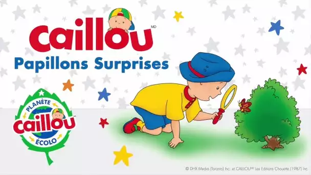 Caillou en français: papillons surprises (Planète Écolo) | conte pour enfant | Caillou en Français