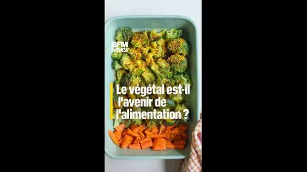 Le végétal est-il l'avenir de l'alimentation ?