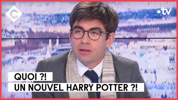 Harry Potter et la réforme des retraites - L’ABC - C à Vous - 23/01/2023