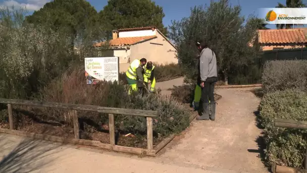 Collectivités, particuliers, agriculteurs : tous unis pour une alternative aux pesticides