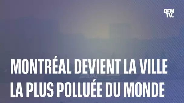 À cause des incendies au Canada, la ville de Montréal est actuellement la plus polluée au monde