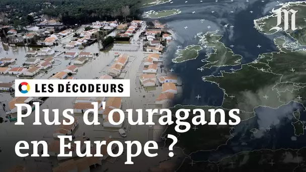 20 ans après la tempête de 1999, doit-on s'attendre à plus d'ouragans en Europe ?