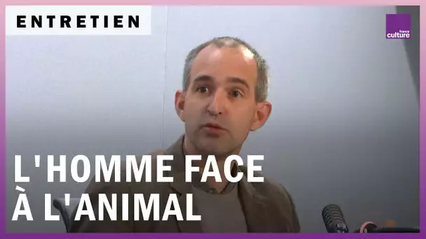 L'homme face à l'animal, une histoire de violence et d'empathie