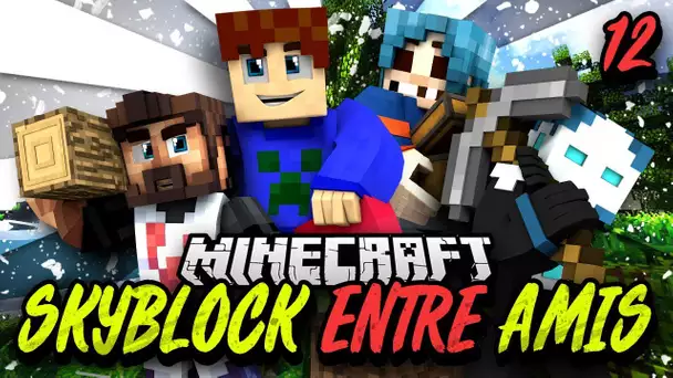 Skyblock entre amis #12 - La barre de fer de libe