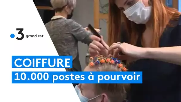 Les salons de coiffure alsaciens face au manque de personnel