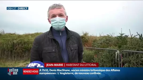 À Gouville-sur-Mer, les sapins de Noël servent à renforcer les dunes sur le littoral