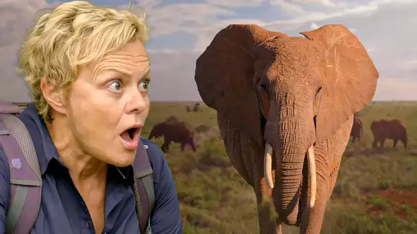 Muriel Robin | Sur la terre des derniers éléphants du Kenya