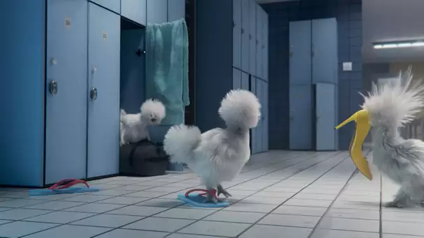 Les poules de soie : nouvelles mascottes de France 3