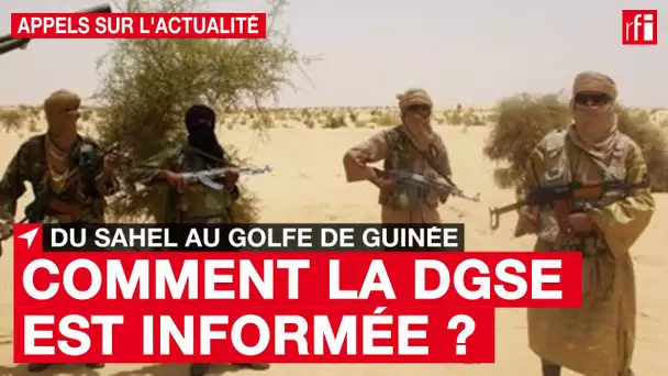 Golfe de Guinée : la DGSE évoque une expansion des groupes terroristes