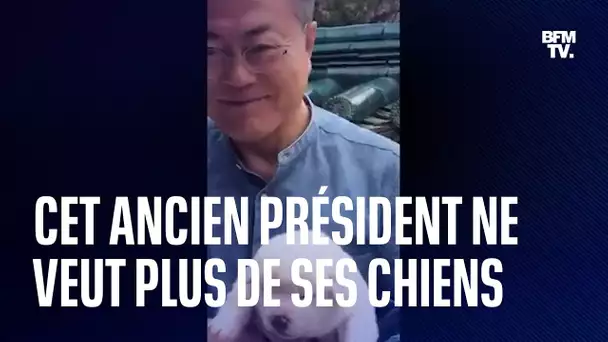 Corée du Sud : l'ex-président Moon ne veut plus des chiens offerts par Kim Jong Un