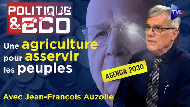 Davos tue l'agriculture pour financer la guerre - Politique & Eco n°423 avec Jean-François Auzolle
