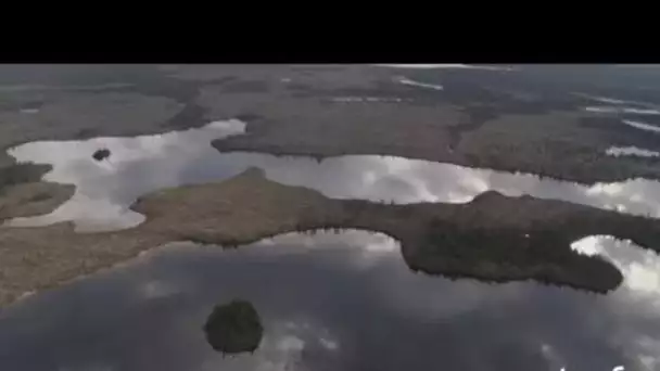 Canada, Québec : marécages et reflets dans l'eau