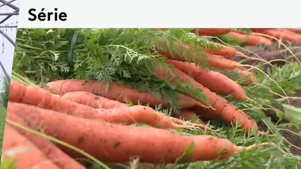 SERIE. Découvrez la Confédération Paysanne, le 3eme syndicat du monde agricole Français