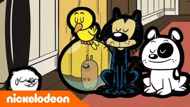 Bienvenue chez les Loud | Nouvelle mascotte | Nickelodeon France