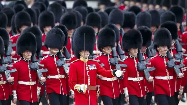 Ce garde royale donne le plus beau des cadeaux d'anniversaire à un enfant de 4 ans