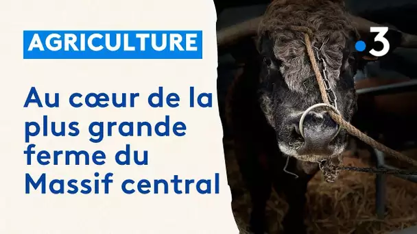 Au cœur de la plus grande ferme du Massif central