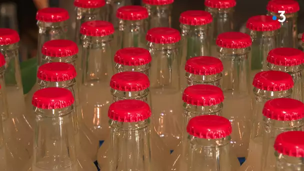 Alcool : le Pontarlier, une boisson locale désormais distribuée en canettes