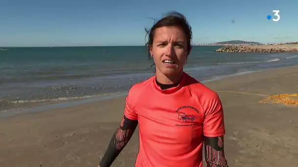 Dans l'Hérault, déjà plus de 20 noyades recensées depuis le début de la saison