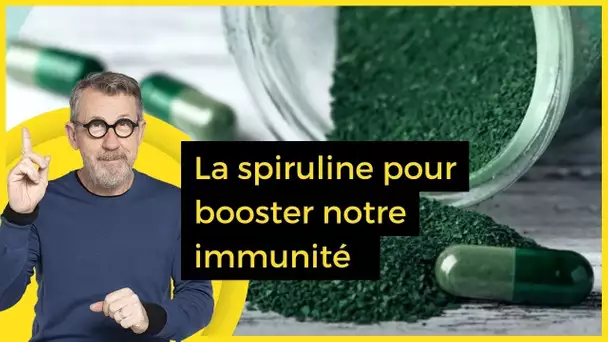 La spiruline pour booster notre immunité - C Jamy