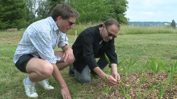 Besançon : une horloge de Flore sur les hauteurs de la ville. Reportage S. Bourgeot et F. Petit