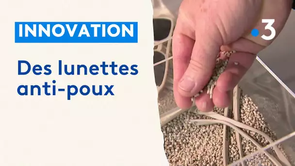 Des lunettes antipoux antimoustiques