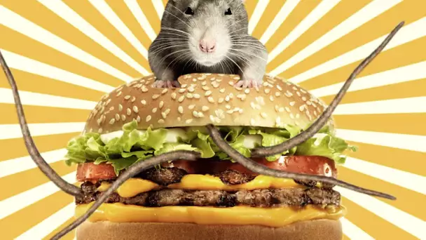 DOUBLE RAT BURGER ! - Citizen Burger Disorder