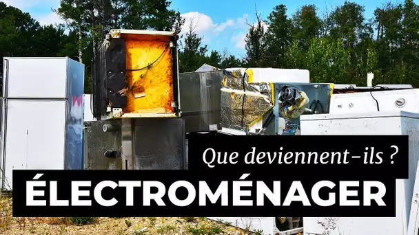 Electroménager : que deviennent-ils ?