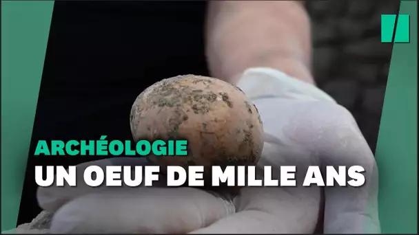 Un oeuf de poule vieux de 1000 ans retrouvé intact en Israël