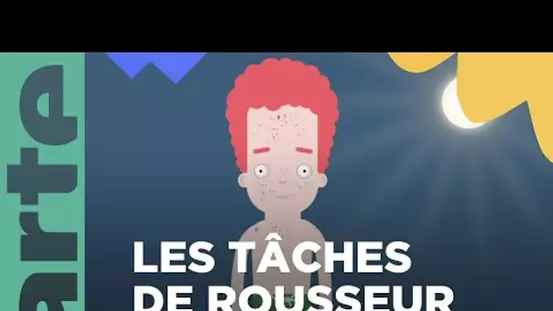 Pourquoi certaines personnes ont des taches de rousseur ? - ARTE