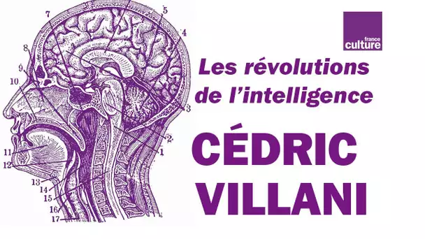 Cédric Villani : 'L&#039;intelligence artificielle, ce n&#039;est pas intelligent'