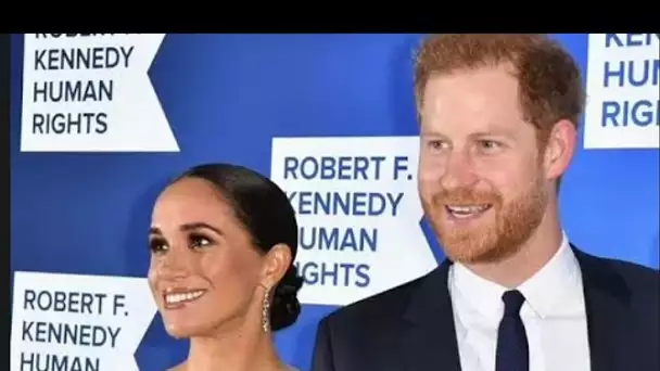 Le titre de «branche d'olivier» de Meghan et du prince Harry est un «antidote» à la faible popularit