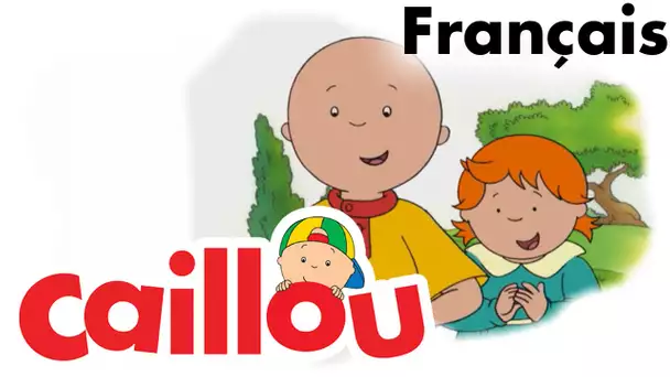 Caillou FRANÇAIS - La grande vente de Caillou (S02E08) | conte pour enfant | Caillou en Français