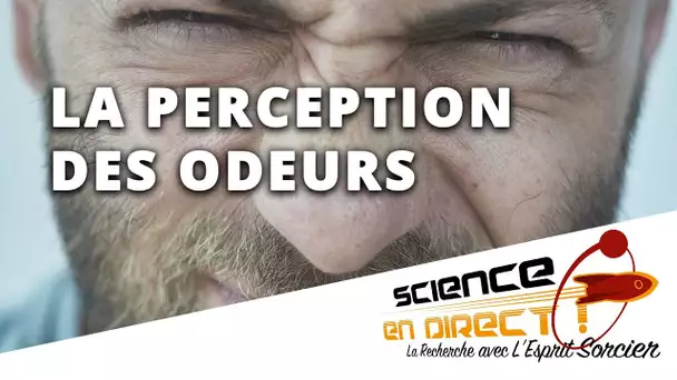 Comment notre nez perçoit-il les odeurs ? - Science En Direct