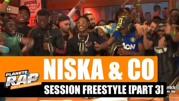 Niska & Co - Freestyle Evry-Courcouronnes [Part 3] #PlanèteRap