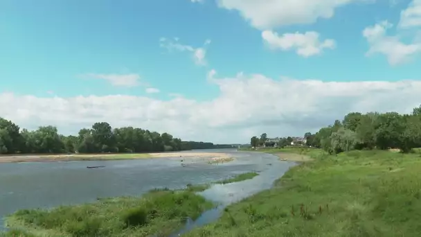 Maine-et-Loire : Port Thibault au fil de l'eau