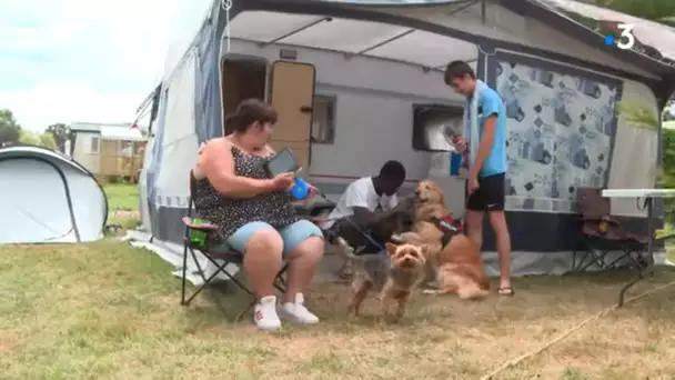 Vendée : un camping où tous les chiens sont admis