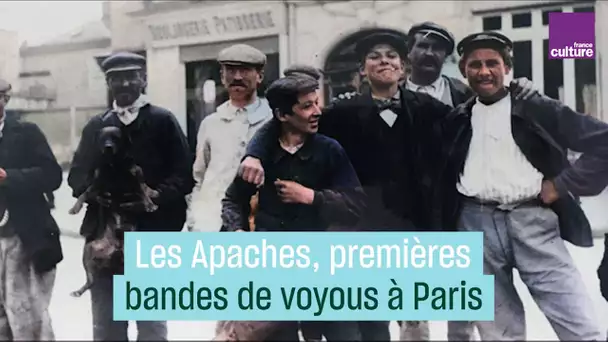 Bandes de jeunes : la violence des Apaches