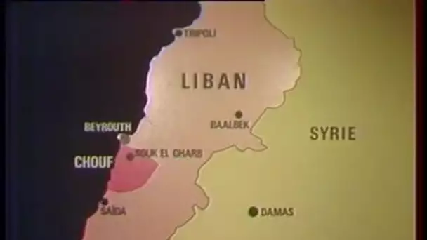 Offensive armée Libanaise