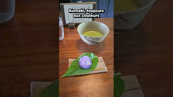 Au japon, on aime les fleurs ! #japon #summer #flower #kamakura