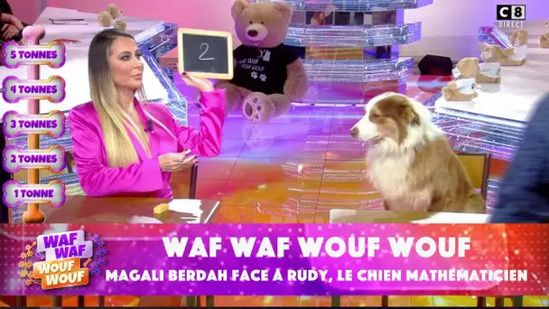 Le concours de math : Rudy le chien contre Magali Berdah !